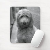 Goldendoodle Puppy In Backyard Mousepad (Mit Mouse)