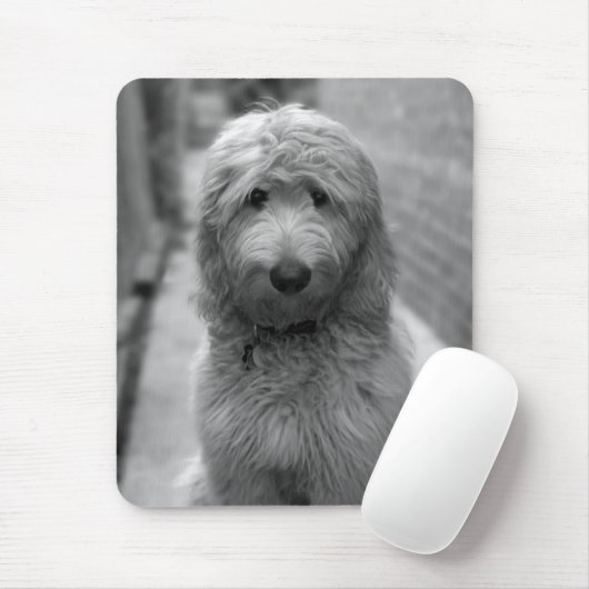 Goldendoodle Puppy In Backyard Mousepad (Mit Mouse)