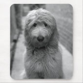 Goldendoodle Puppy In Backyard Mousepad (Vorne)