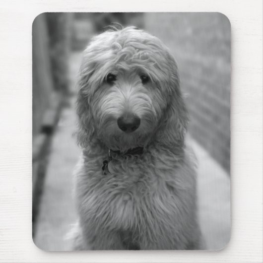 Goldendoodle Puppy In Backyard Mousepad (Vorne)