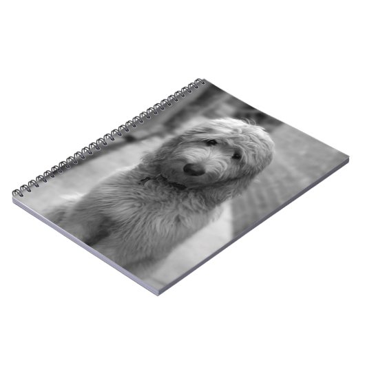 Goldendoodle Puppy In Backyard Notizblock (Linke Seite)