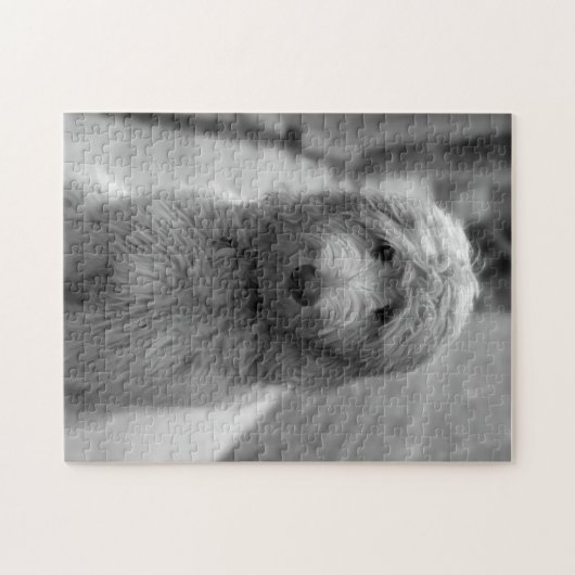 Goldendoodle Puppy In Backyard Puzzle (Horizontal)