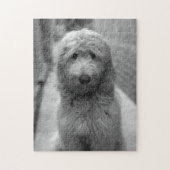 Goldendoodle Puppy In Backyard Puzzle (Vertikal)
