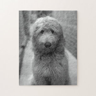 Goldendoodle Puppy In Backyard Puzzle
