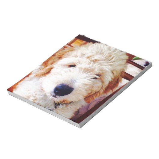 Goldendoodle Puppy Notizblock (Rotiert)