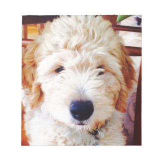 Goldendoodle Puppy Notizblock