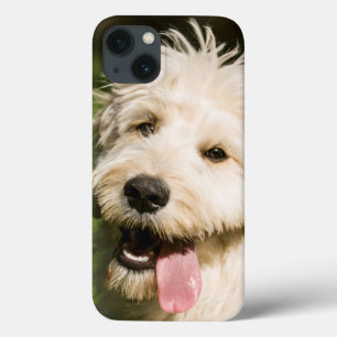 Goldendoodle Puppy Panting Case-Mate iPhone Hülle