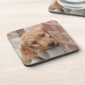 Goldendoodle Puppy Peeking Getränkeuntersetzer (Linke Seite)