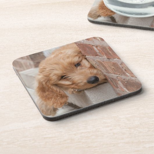 Goldendoodle Puppy Peeking Getränkeuntersetzer (Linke Seite)