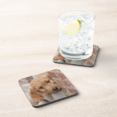 Goldendoodle Puppy Peeking Getränkeuntersetzer (Rechte Seite)