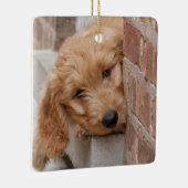 Goldendoodle Puppy Peeking Keramikornament (Rechts)