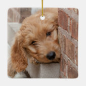 Goldendoodle Puppy Peeking Keramikornament (Rückseite)