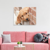 Goldendoodle Puppy Peeking Leinwanddruck (Insitu (Wohnzimmer))