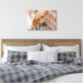 Goldendoodle Puppy Peeking Leinwanddruck (Insitu (Schlafzimmer))