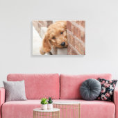 Goldendoodle Puppy Peeking Leinwanddruck (Insitu (Wohnzimmer))