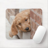 Goldendoodle Puppy Peeking Mousepad (Mit Mouse)