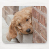Goldendoodle Puppy Peeking Mousepad (Vorne)