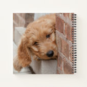 Goldendoodle Puppy Peeking Notizblock (Rückseite)