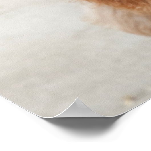 Goldendoodle Puppy Peeking Poster (Ecke)