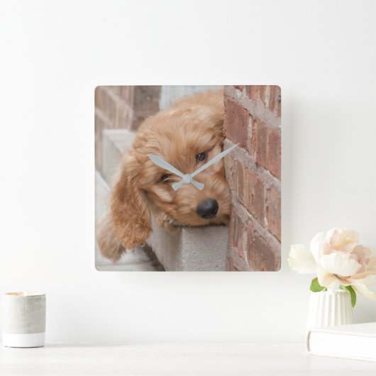 Goldendoodle Puppy Peeking Quadratische Wanduhr (Zuhause)