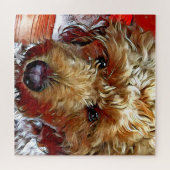 Goldendoodle Puppy Puzzle (Horizontal)