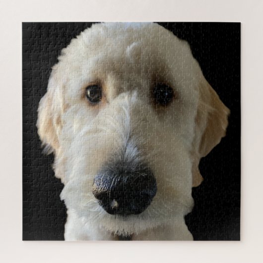 Goldendoodle Puzzle (Vertikal)