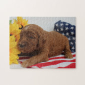 Goldendoodle Puzzle (Horizontal)