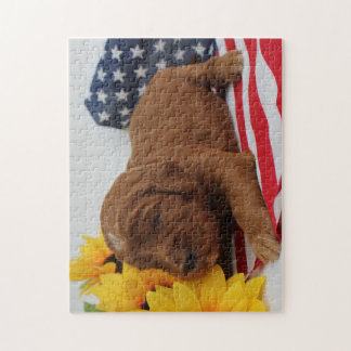 Goldendoodle Puzzle