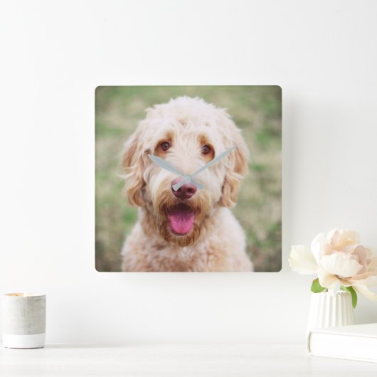 Goldendoodle Quadratische Wanduhr (Zuhause)