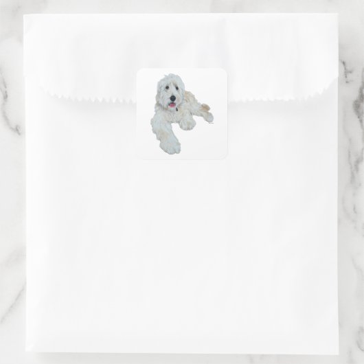 Goldendoodle Quadratischer Aufkleber (Tasche)
