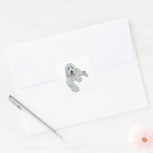 Goldendoodle Quadratischer Aufkleber (Umschlag)