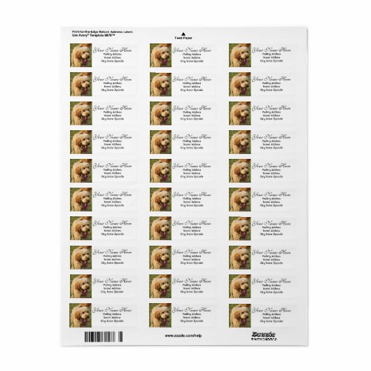 Goldendoodle-Rücksendeadresse (Vorne)