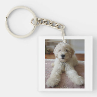 Goldendoodle Schlüsselanhänger