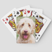 Goldendoodle Spielkarten (Rückseite)