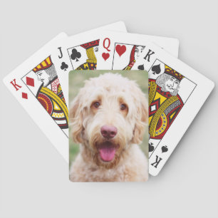 Goldendoodle Spielkarten