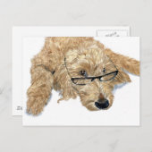 Goldendoodle Stella Postcard Postkarte (Vorne/Hinten)