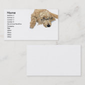 Goldendoodle Stella Visitenkarten Visitenkarte (Vorne/Hinten)