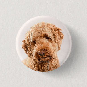 Goldendoodle Studio Button