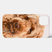 Goldendoodle Studio Case-Mate iPhone Hülle (Rückseite (Horizontal))