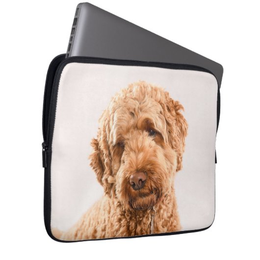 Goldendoodle Studio Laptopschutzhülle (Vorne Rechts)