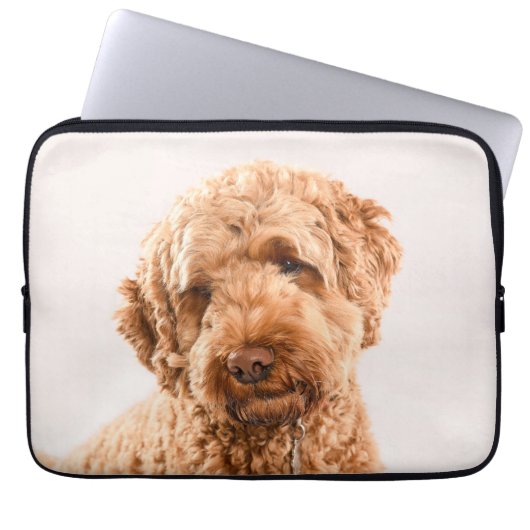 Goldendoodle Studio Laptopschutzhülle (Vorderseite)