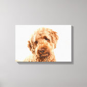 Goldendoodle Studio Leinwanddruck (Vorderseite)
