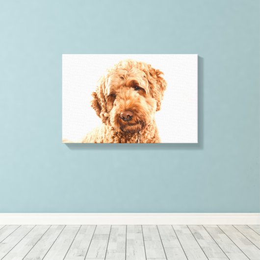 Goldendoodle Studio Leinwanddruck (Insitu (Holzboden))