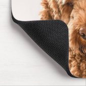 Goldendoodle Studio Mousepad (Ecke)