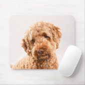 Goldendoodle Studio Mousepad (Mit Mouse)