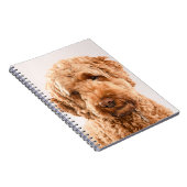 Goldendoodle Studio Notizblock (Rechte Seite)