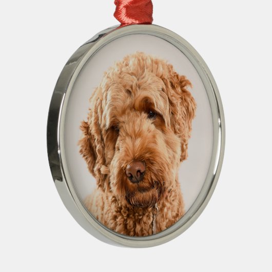 Goldendoodle Studio Ornament Aus Metall (Rechts)