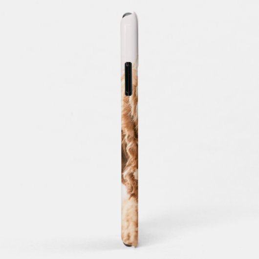 Goldendoodle Studio Portrait Case-Mate iPhone Hülle (Hinten/Rechts)