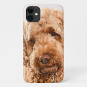 Goldendoodle Studio Portrait Case-Mate iPhone Hülle (Rückseite)