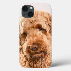 Goldendoodle Studio Portrait Case-Mate iPhone Hülle